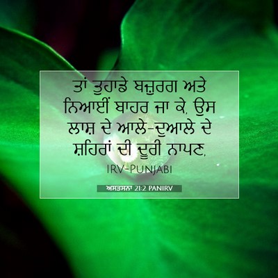 Picture 07 - ਅਸਤਸਨਾ 21:2 PANIRV - ਤਾਂ ਤੁਹਾਡੇ ਬਜ਼ੁਰਗ - Bible Verse Picture