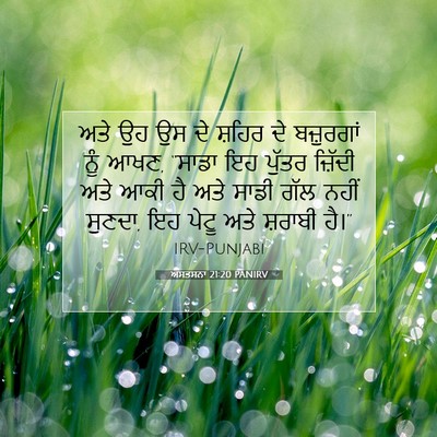 Picture 07 - ਅਸਤਸਨਾ 21:20 PANIRV - ਅਤੇ ਉਹ ਉਸ ਦੇ ਸ਼ਹਿਰ - Bible Verse Picture