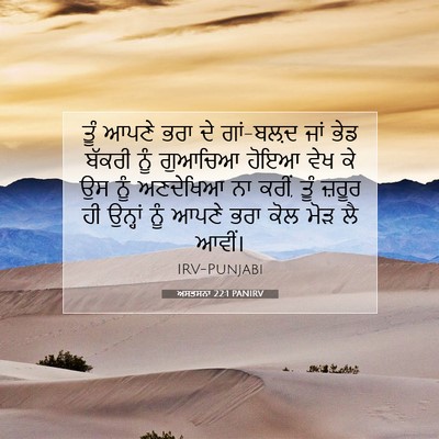 Picture 07 - ਅਸਤਸਨਾ 22:1 PANIRV - ਤੂੰ ਆਪਣੇ ਭਰਾ ਦੇ - Bible Verse Picture