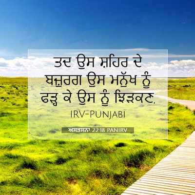 Picture 07 - ਅਸਤਸਨਾ 22:18 PANIRV - ਤਦ ਉਸ ਸ਼ਹਿਰ ਦੇ - Bible Verse Picture