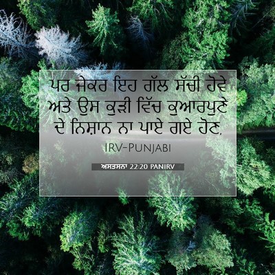 Picture 07 - ਅਸਤਸਨਾ 22:20 PANIRV - ਪਰ ਜੇਕਰ ਇਹ ਗੱਲ ਸੱਚੀ - Bible Verse Picture