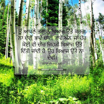 Picture 07 - ਅਸਤਸਨਾ 23:19 PANIRV - ਤੂੰ ਆਪਣੇ ਭਰਾ ਨੂੰ - Bible Verse Picture