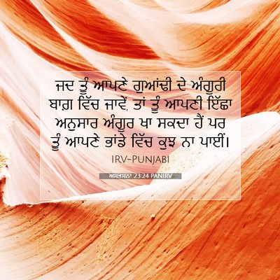 Picture 07 - ਅਸਤਸਨਾ 23:24 PANIRV - ਜਦ ਤੂੰ ਆਪਣੇ ਗੁਆਂਢੀ - Bible Verse Picture