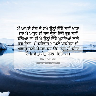 Picture 07 - ਅਸਤਸਨਾ 26:14 PANIRV - ਮੈਂ ਆਪਣੇ ਸੋਗ ਦੇ - Bible Verse Picture