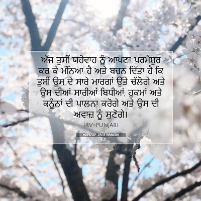 Picture 07 - ਅਸਤਸਨਾ 26:17 PANIRV - ਅੱਜ ਤੁਸੀਂ ਯਹੋਵਾਹ - Bible Verse Picture