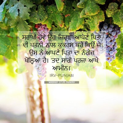Picture 07 - ਅਸਤਸਨਾ 27:20 PANIRV - ਸਰਾਪੀ ਹੋਵੇ ਉਹ, - Bible Verse Picture
