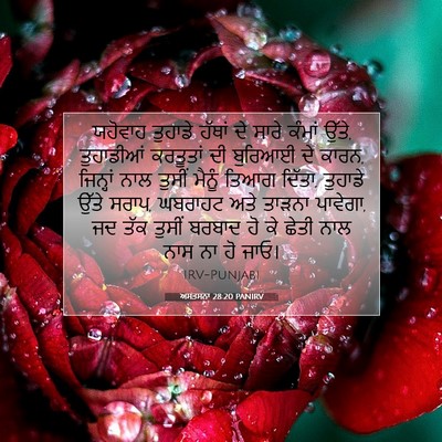 Picture 07 - ਅਸਤਸਨਾ 28:20 PANIRV - ਯਹੋਵਾਹ ਤੁਹਾਡੇ - Bible Verse Picture