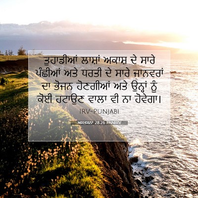 Picture 07 - ਅਸਤਸਨਾ 28:26 PANIRV - ਤੁਹਾਡੀਆਂ ਲਾਸ਼ਾਂ - Bible Verse Picture