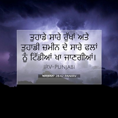 Picture 07 - ਅਸਤਸਨਾ 28:42 PANIRV - ਤੁਹਾਡੇ ਸਾਰੇ - Bible Verse Picture