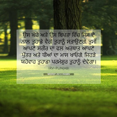 Picture 07 - ਅਸਤਸਨਾ 28:53 PANIRV - ਉਸ ਘੇਰੇ ਅਤੇ ਉਸ - Bible Verse Picture