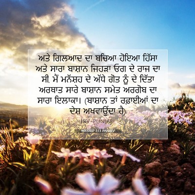 Picture 07 - ਅਸਤਸਨਾ 3:13 PANIRV - ਅਤੇ ਗਿਲਆਦ ਦਾ ਬਚਿਆ - Bible Verse Picture