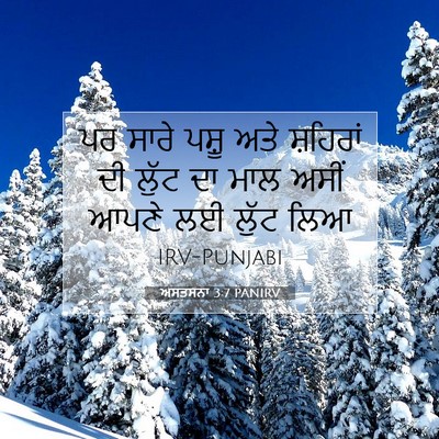 Picture 07 - ਅਸਤਸਨਾ 3:7 PANIRV - ਪਰ ਸਾਰੇ ਪਸ਼ੂ ਅਤੇ - Bible Verse Picture