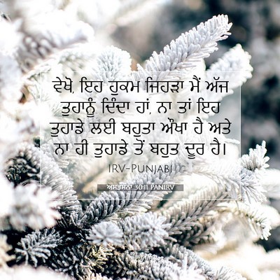 Picture 07 - ਅਸਤਸਨਾ 30:11 PANIRV - ਵੇਖੋ, ਇਹ ਹੁਕਮ ਜਿਹੜਾ - Bible Verse Picture