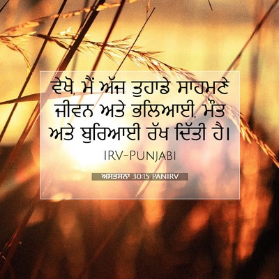 Picture 07 - ਅਸਤਸਨਾ 30:15 PANIRV - ਵੇਖੋ, ਮੈਂ ਅੱਜ - Bible Verse Picture