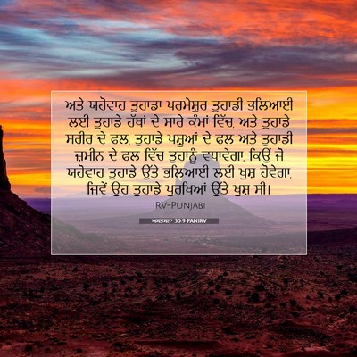 Picture 07 - ਅਸਤਸਨਾ 30:9 PANIRV - ਅਤੇ ਯਹੋਵਾਹ ਤੁਹਾਡਾ - Bible Verse Picture
