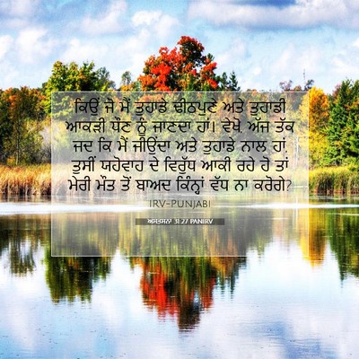 Picture 07 - ਅਸਤਸਨਾ 31:27 PANIRV - ਕਿਉਂ ਜੋ ਮੈਂ ਤੁਹਾਡੇ - Bible Verse Picture