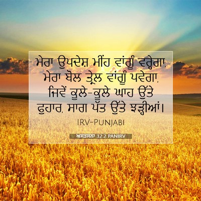 Picture 07 - ਅਸਤਸਨਾ 32:2 PANIRV - ਮੇਰਾ ਉਪਦੇਸ਼ ਮੀਂਹ - Bible Verse Picture