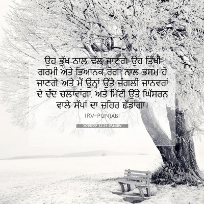 Picture 07 - ਅਸਤਸਨਾ 32:24 PANIRV - ਉਹ ਭੁੱਖ ਨਾਲ ਢੱਲ਼ - Bible Verse Picture