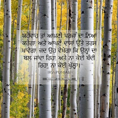 Picture 07 - ਅਸਤਸਨਾ 32:36 PANIRV - ਯਹੋਵਾਹ ਤਾਂ ਆਪਣੀ - Bible Verse Picture