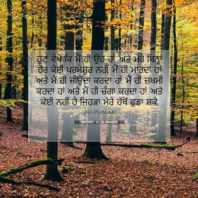 Picture 07 - ਅਸਤਸਨਾ 32:39 PANIRV - ਹੁਣ ਵੇਖੋ ਕਿ ਮੈਂ ਹੀ - Bible Verse Picture