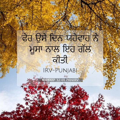 Picture 07 - ਅਸਤਸਨਾ 32:48 PANIRV - ਫੇਰ ਉਸੇ ਦਿਨ ਯਹੋਵਾਹ - Bible Verse Picture