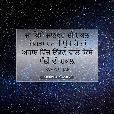 Picture 07 - ਅਸਤਸਨਾ 4:17 PANIRV - ਜਾਂ ਕਿਸੇ ਜਾਨਵਰ ਦੀ - Bible Verse Picture