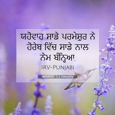Picture 07 - ਅਸਤਸਨਾ 5:2 PANIRV - ਯਹੋਵਾਹ ਸਾਡੇ - Bible Verse Picture
