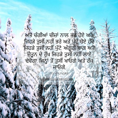 Picture 07 - ਅਸਤਸਨਾ 6:11 PANIRV - ਅਤੇ ਚੰਗੀਆਂ ਚੀਜ਼ਾਂ - Bible Verse Picture