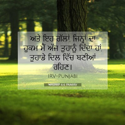 Picture 07 - ਅਸਤਸਨਾ 6:6 PANIRV - ਅਤੇ ਇਹ ਗੱਲਾਂ, - Bible Verse Picture