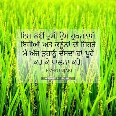 Picture 07 - ਅਸਤਸਨਾ 7:11 PANIRV - ਇਸ ਲਈ ਤੁਸੀਂ ਉਸ - Bible Verse Picture