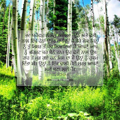 Picture 07 - ਅਸਤਸਨਾ 9:12 PANIRV - ਤਦ ਯਹੋਵਾਹ ਨੇ ਮੈਨੂੰ - Bible Verse Picture