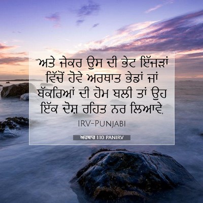 Picture 07 - ਅਹਬਾਰ 1:10 PANIRV - “ਅਤੇ ਜੇਕਰ ਉਸ ਦੀ ਭੇਟ - Bible Verse Picture
