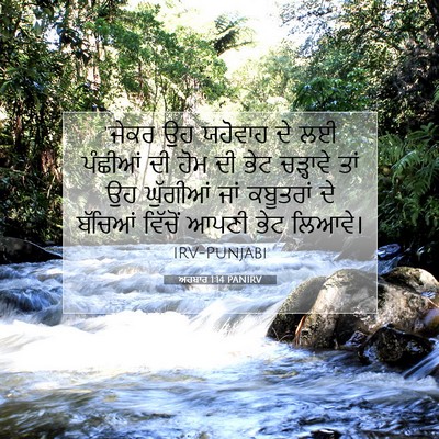 Picture 07 - ਅਹਬਾਰ 1:14 PANIRV - “ਜੇਕਰ ਉਹ ਯਹੋਵਾਹ ਦੇ - Bible Verse Picture