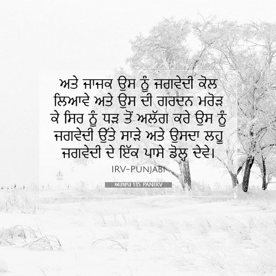 Picture 07 - ਅਹਬਾਰ 1:15 PANIRV - ਅਤੇ ਜਾਜਕ ਉਸ ਨੂੰ - Bible Verse Picture