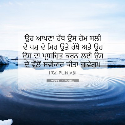 Picture 07 - ਅਹਬਾਰ 1:4 PANIRV - ਉਹ ਆਪਣਾ ਹੱਥ ਉਸ ਹੋਮ - Bible Verse Picture