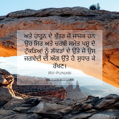 Picture 07 - ਅਹਬਾਰ 1:8 PANIRV - ਅਤੇ ਹਾਰੂਨ ਦੇ ਪੁੱਤਰ - Bible Verse Picture