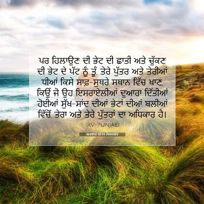 Picture 07 - ਅਹਬਾਰ 10:14 PANIRV - ਪਰ ਹਿਲਾਉਣ ਦੀ ਭੇਟ ਦੀ - Bible Verse Picture