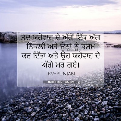 Picture 07 - ਅਹਬਾਰ 10:2 PANIRV - ਤਦ ਯਹੋਵਾਹ ਦੇ ਅੱਗੋਂ - Bible Verse Picture