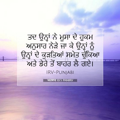 Picture 07 - ਅਹਬਾਰ 10:5 PANIRV - ਤਦ ਉਨ੍ਹਾਂ ਨੇ ਮੂਸਾ - Bible Verse Picture