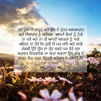 Picture 07 - ਅਹਬਾਰ 10:6 PANIRV - ਤਦ ਮੂਸਾ ਨੇ ਹਾਰੂਨ - Bible Verse Picture