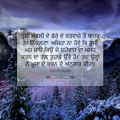 Picture 07 - ਅਹਬਾਰ 10:7 PANIRV - ਤੁਸੀਂ ਮੰਡਲੀ ਦੇ - Bible Verse Picture