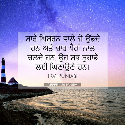 Picture 07 - ਅਹਬਾਰ 11:20 PANIRV - ਸਾਰੇ ਘਿਸਰਨ ਵਾਲੇ ਜੋ - Bible Verse Picture