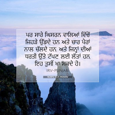 Picture 07 - ਅਹਬਾਰ 11:21 PANIRV - ਪਰ ਸਾਰੇ ਘਿਸਰਨ - Bible Verse Picture