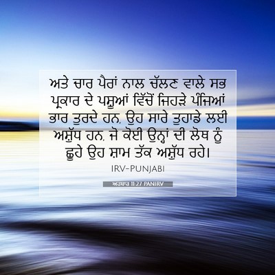 Picture 07 - ਅਹਬਾਰ 11:27 PANIRV - ਅਤੇ ਚਾਰ ਪੈਰਾਂ ਨਾਲ - Bible Verse Picture