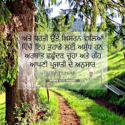 Picture 07 - ਅਹਬਾਰ 11:29 PANIRV - ਅਤੇ ਧਰਤੀ ਉੱਤੇ - Bible Verse Picture