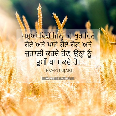 Picture 07 - ਅਹਬਾਰ 11:3 PANIRV - ਪਸ਼ੂਆਂ ਵਿੱਚੋਂ - Bible Verse Picture