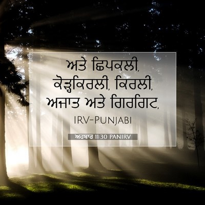 Picture 07 - ਅਹਬਾਰ 11:30 PANIRV - ਅਤੇ ਛਿਪਕਲੀ, - Bible Verse Picture