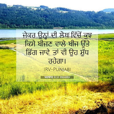 Picture 07 - ਅਹਬਾਰ 11:37 PANIRV - ਜੇਕਰ ਉਨ੍ਹਾਂ ਦੀ ਲੋਥ - Bible Verse Picture