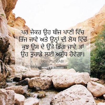 Picture 07 - ਅਹਬਾਰ 11:38 PANIRV - ਪਰ ਜੇਕਰ ਉਹ ਬੀਜ ਪਾਣੀ - Bible Verse Picture