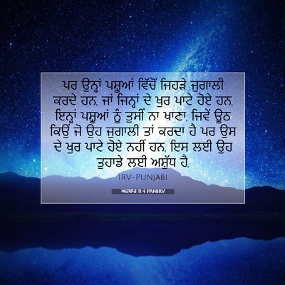 Picture 07 - ਅਹਬਾਰ 11:4 PANIRV - ਪਰ ਉਨ੍ਹਾਂ ਪਸ਼ੂਆਂ - Bible Verse Picture